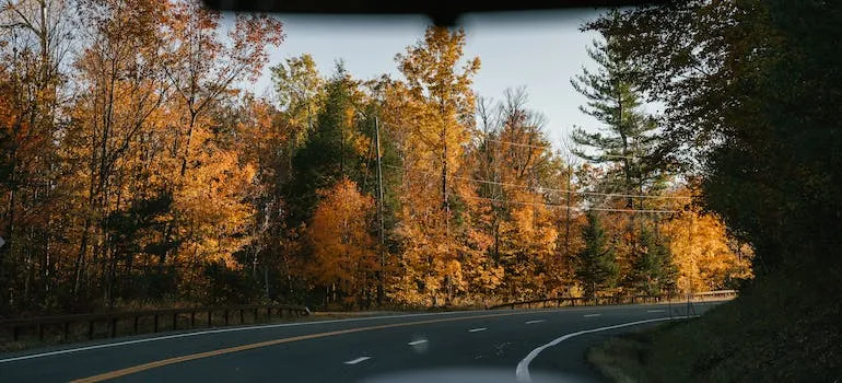 A person driving