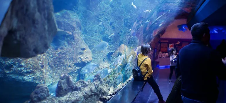 People near the aquarium