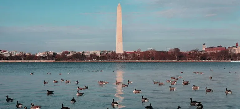 A monument in Washington 