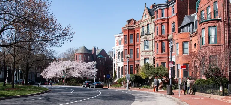 Picture of a street in Washington DC