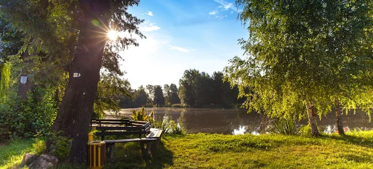 A water surrounded by trees