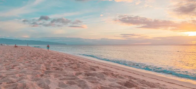 A person standing on the beach