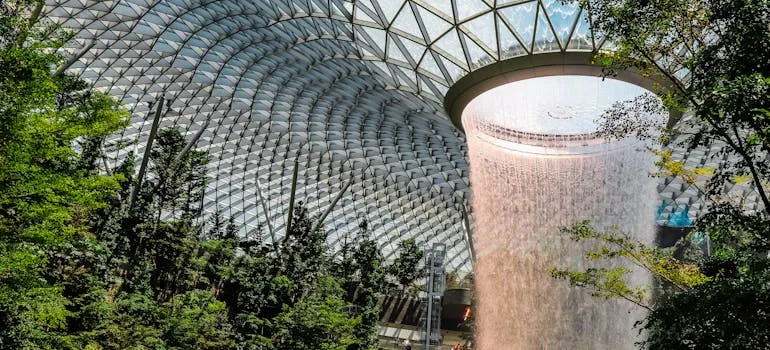 A botanic garden