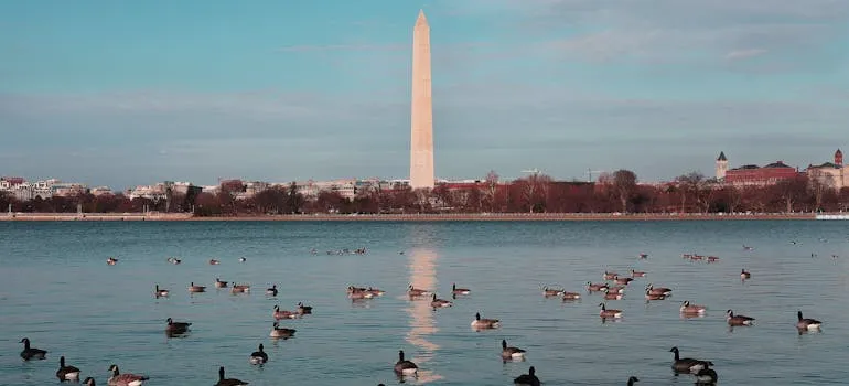 Washington Monument