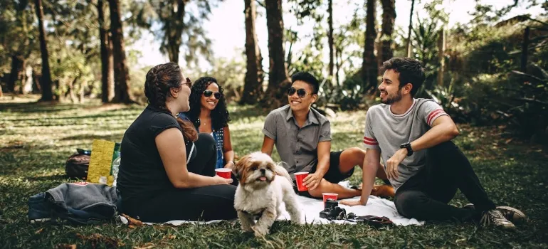 a group of four people sitting on the grass