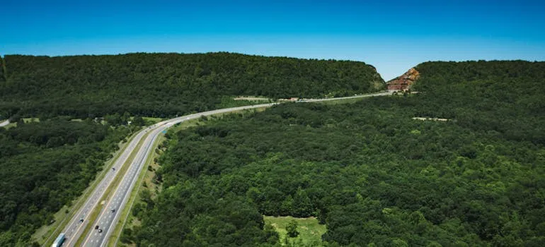 A forest in Maryland