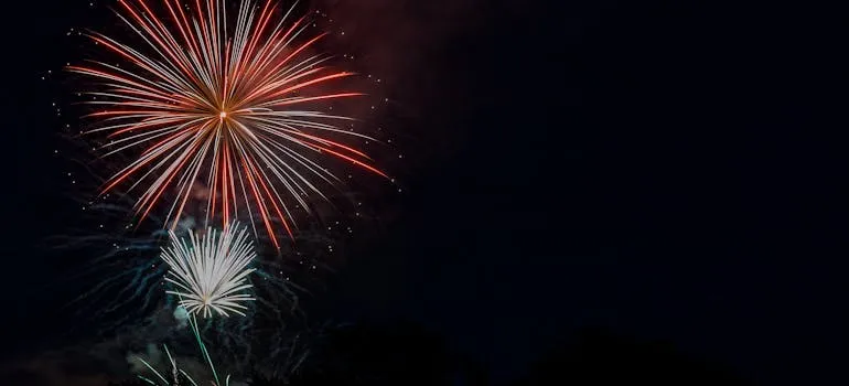 Fireworks on the sky