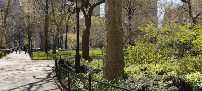 People in Central Park