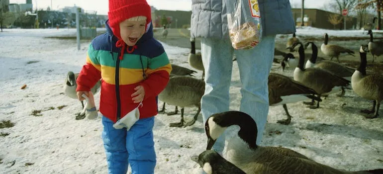A kids in the park enjoying one of the kid-friendly winter activities in Virginia