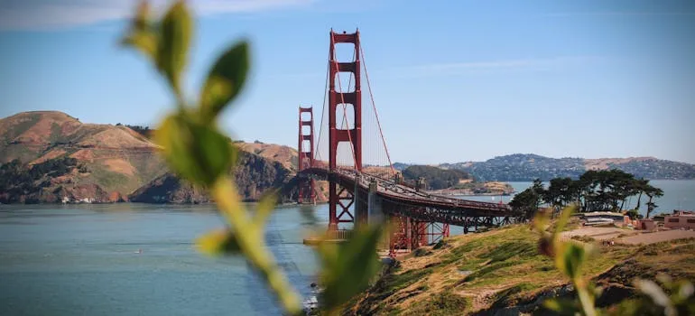 A bridge in California
