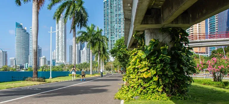 A street in Downtown Miami