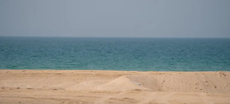A beach in Delaware