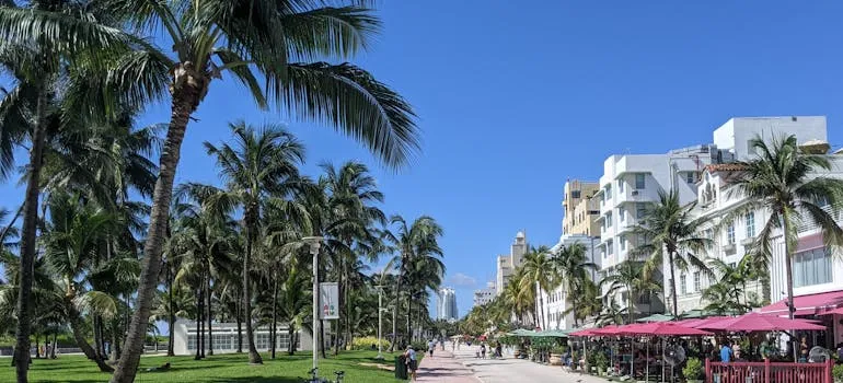 Neighborhood in Miami 