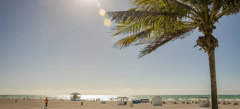 A beach in Florida