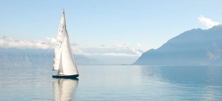 Sailboat on the water