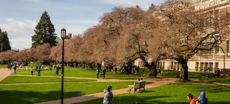 People in the park
