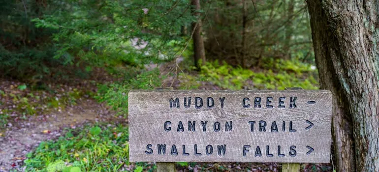 A state park, one of the places for outdoor activities for new Maryland residents