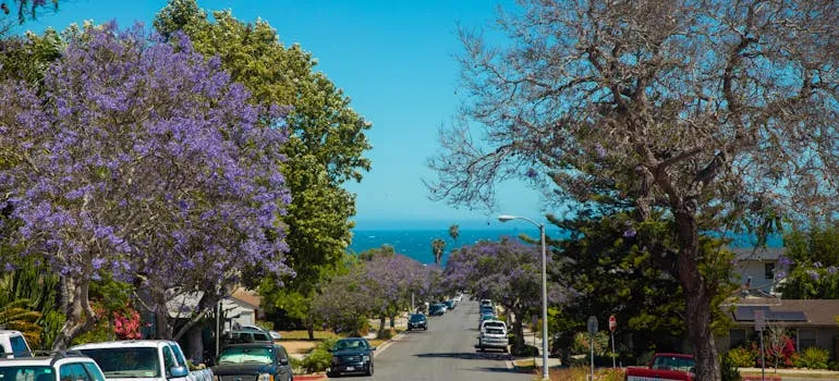 A street in Santa Barbara