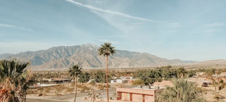 Landscape in Palm Springs
