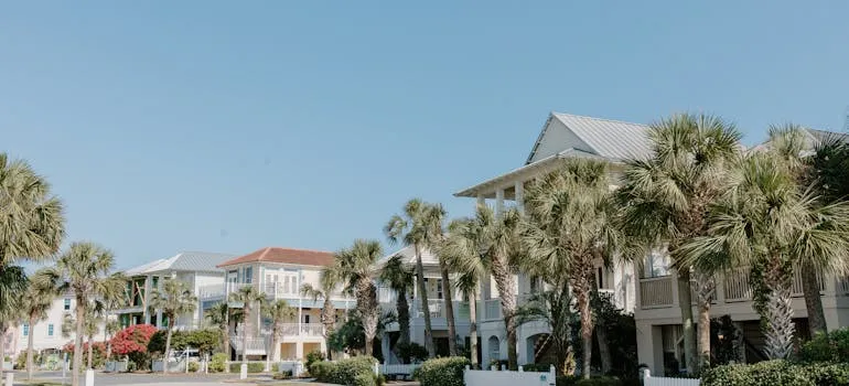 Houses in Florida 