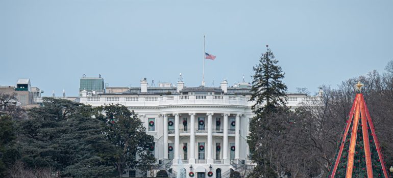 People next to the Christmas Tree in DC