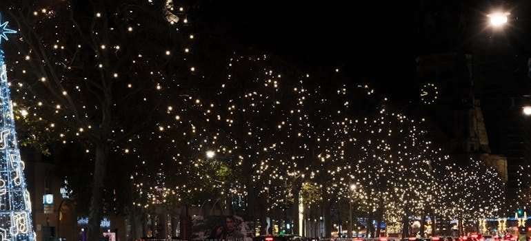 Christmas trees on the street
