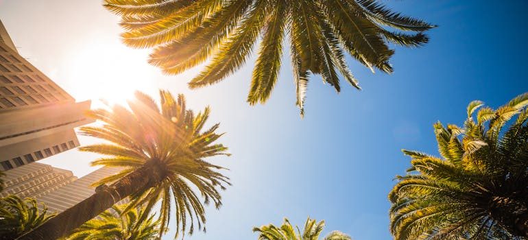 Sunny weather in California