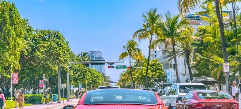 Cars on the street