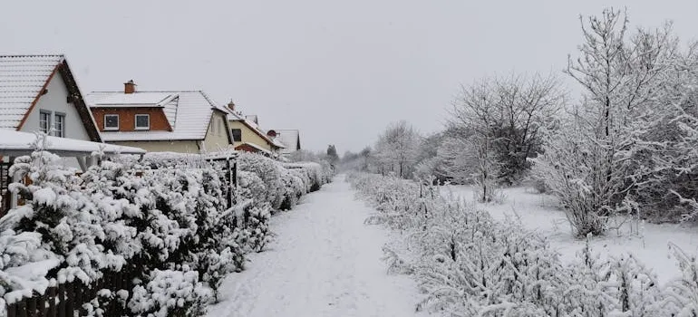 Snow on the street