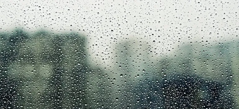 Rain on the window