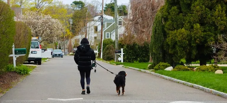 A woman walking a dog