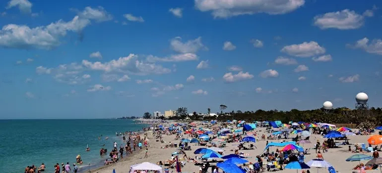 People on the beach