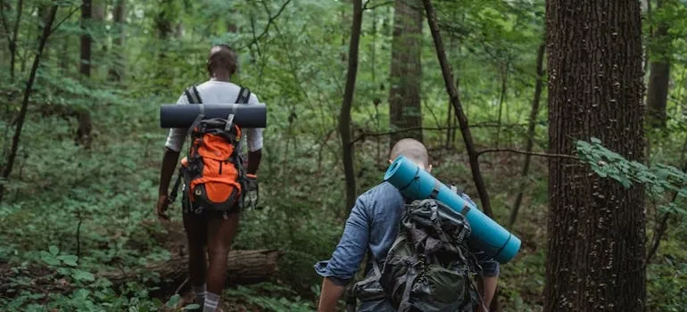 People hiking and enjoying one of the things to do in Virginia after you move