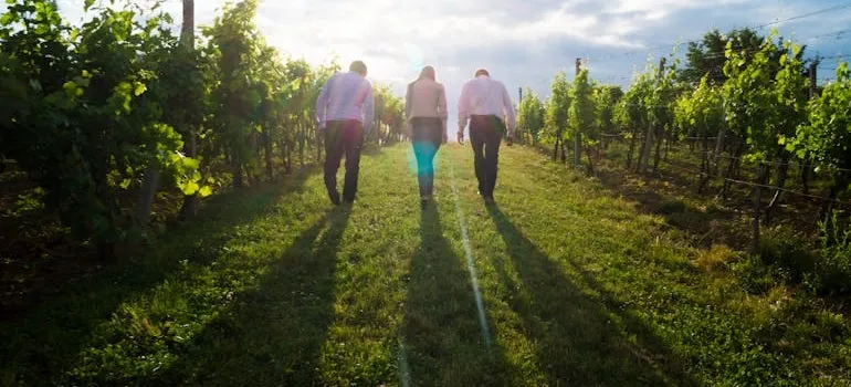 People in vineyard enjoying one of the things to do in Virginia after you move