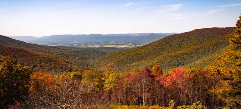 Fall in Virginia 