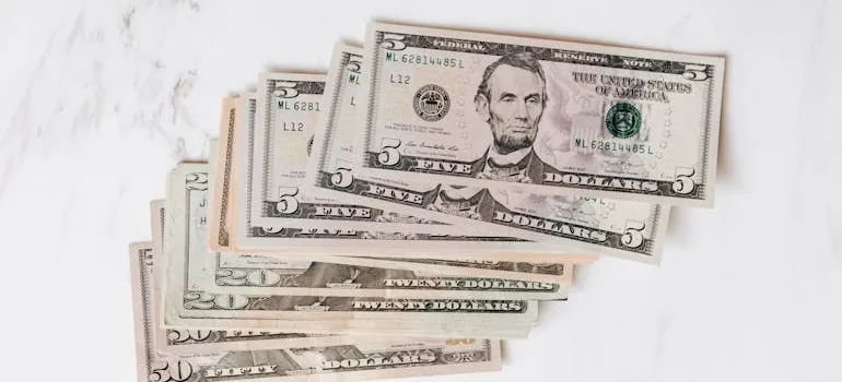 Dollar bills 